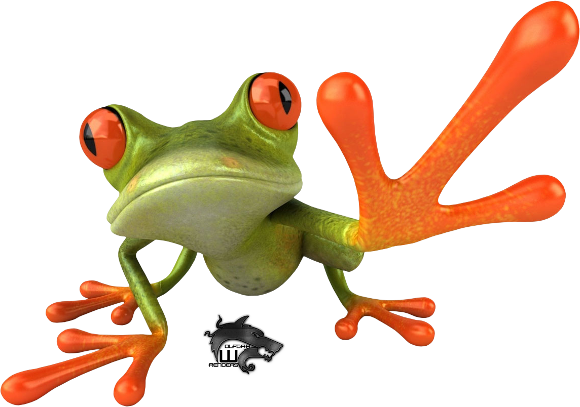 Red Eyed Tree Frog Clipart Transparent - Green Frog Red Feet (1144x804)