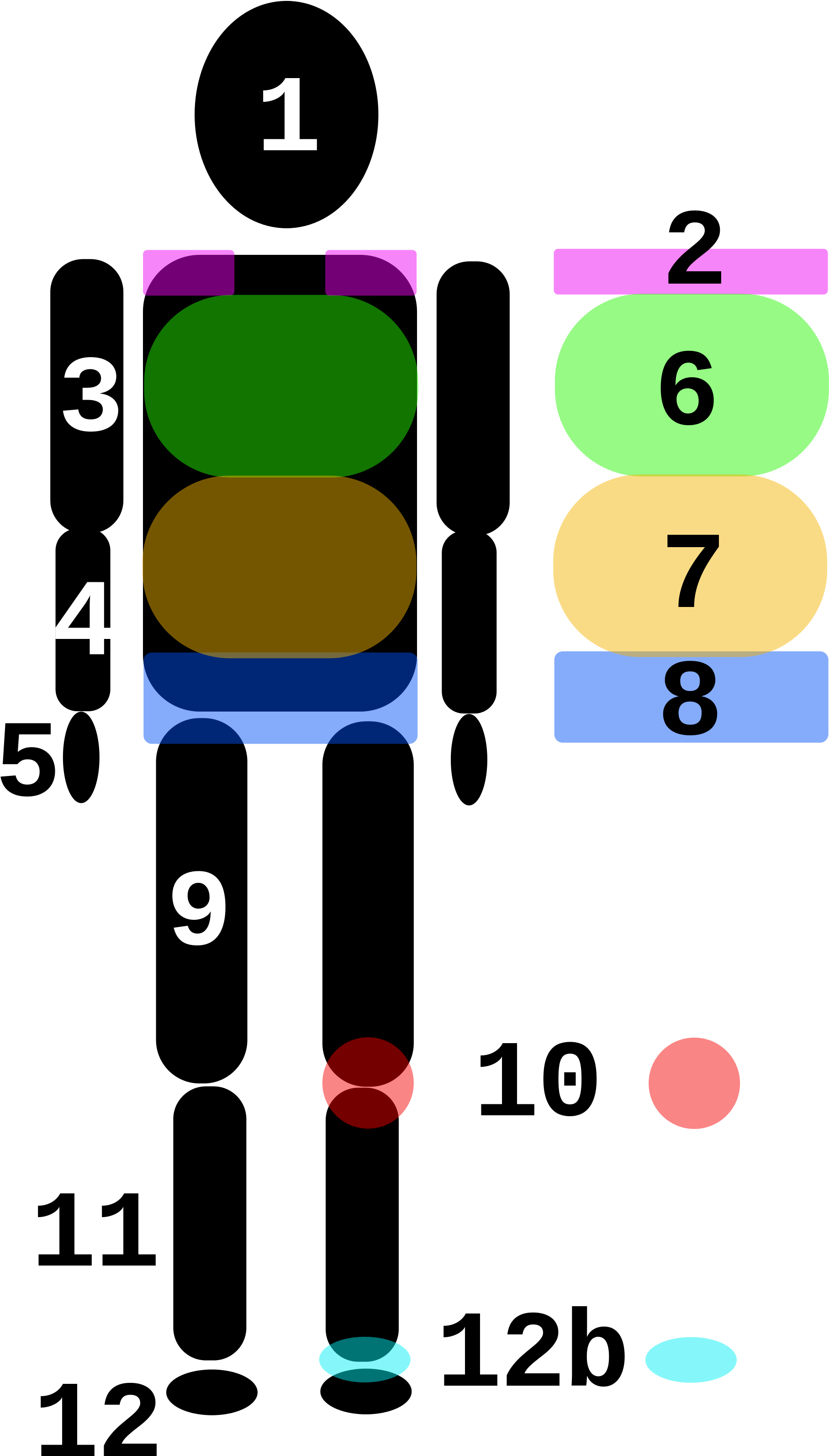 Wikimedia Commons (2000x3600)