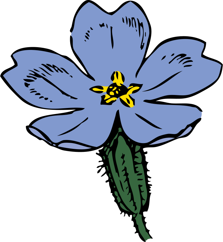 Get Notified Of Exclusive Freebies - Primrose Flower Cartoon Clip Art (737x800)