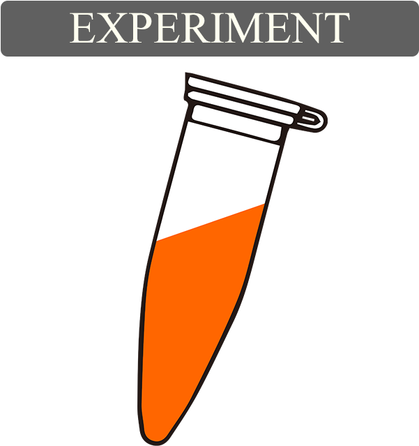 In The Form Of Living Biofilm, The Bio-degradation - In The Form Of Living Biofilm, The Bio-degradation (750x750)
