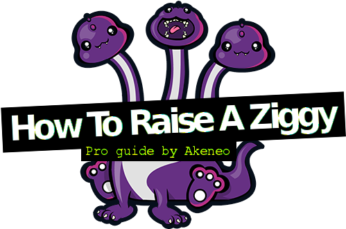Com Has Been A Reference Website About Ziggys And Their - Akeneo Ziggy (569x350)