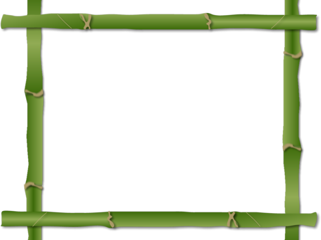 Bamboo Clipart Island Border - Bamboo Frame (640x480)
