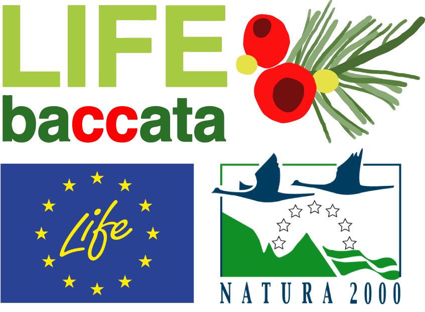 Neemo's Annual Monitoring Visit To @lifebaccata Project - Graphic Design (847x623)