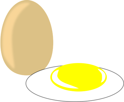 Egg, Food, Fired Egg, Nutrition - Circle (410x340)