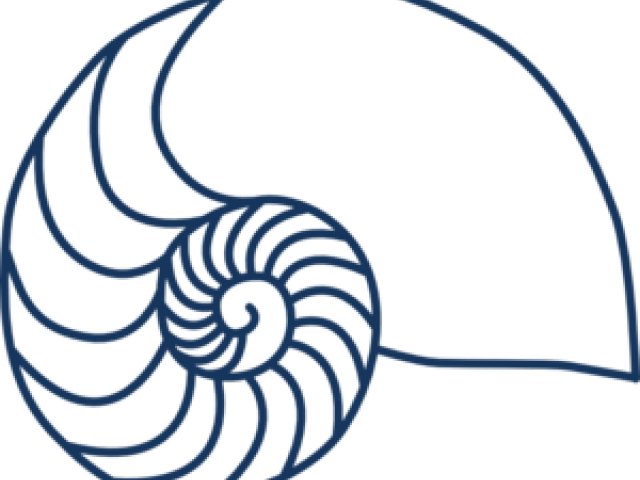 Shell Clipart Nautilus Shell - Amelia Island Chamber Music Festival Logo (640x480)