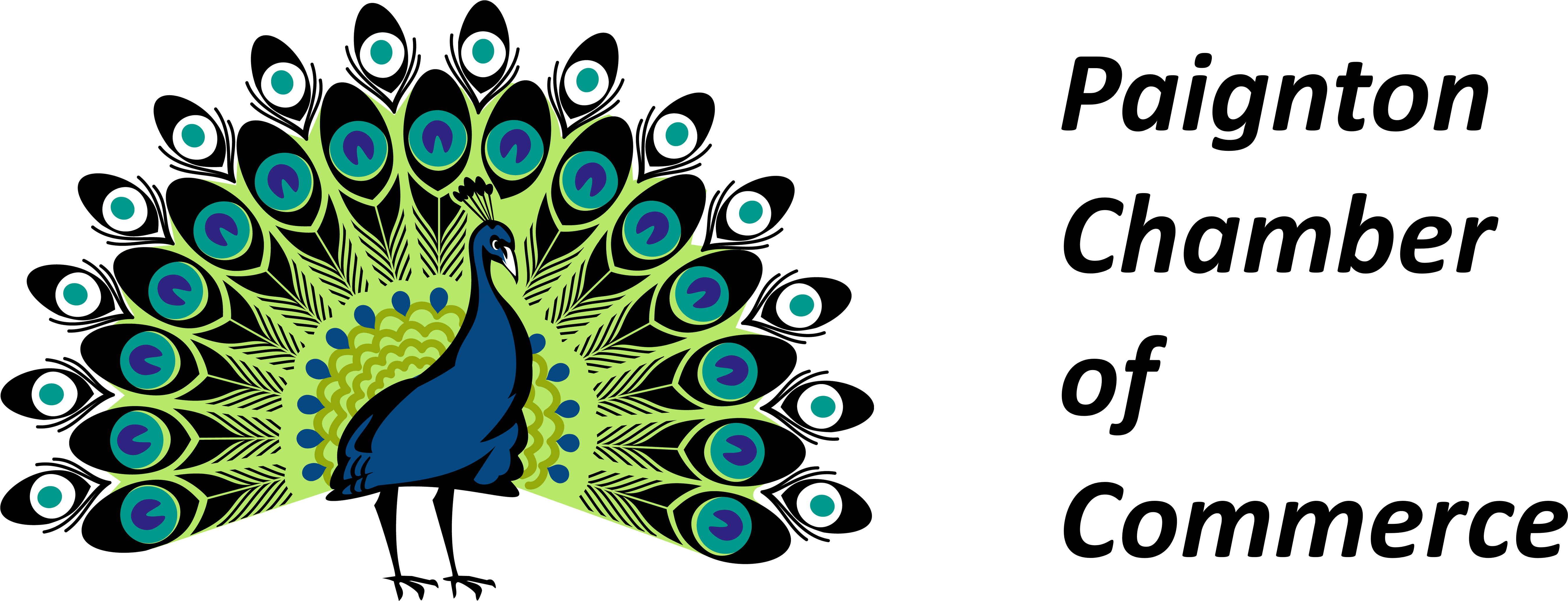 Paignton Business People Focussed On The Regeneration - Peacock Png (6000x2063)