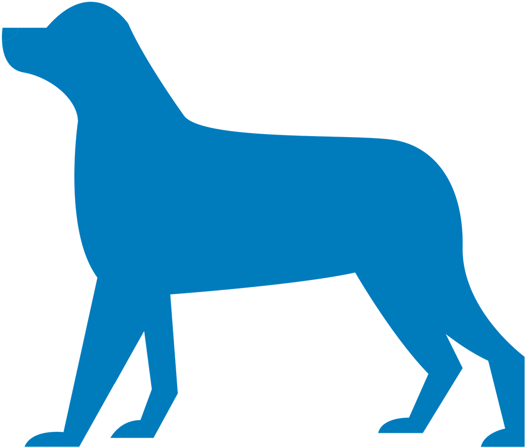 Null - Common Areas Of Joint Pain In Dogs (1080x1080)