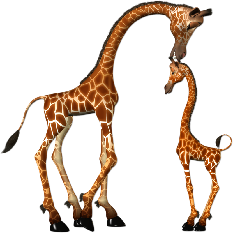 Giraffe Clipart Tall Giraffe - Mother And Baby Giraffe Clipart Png (800x800)