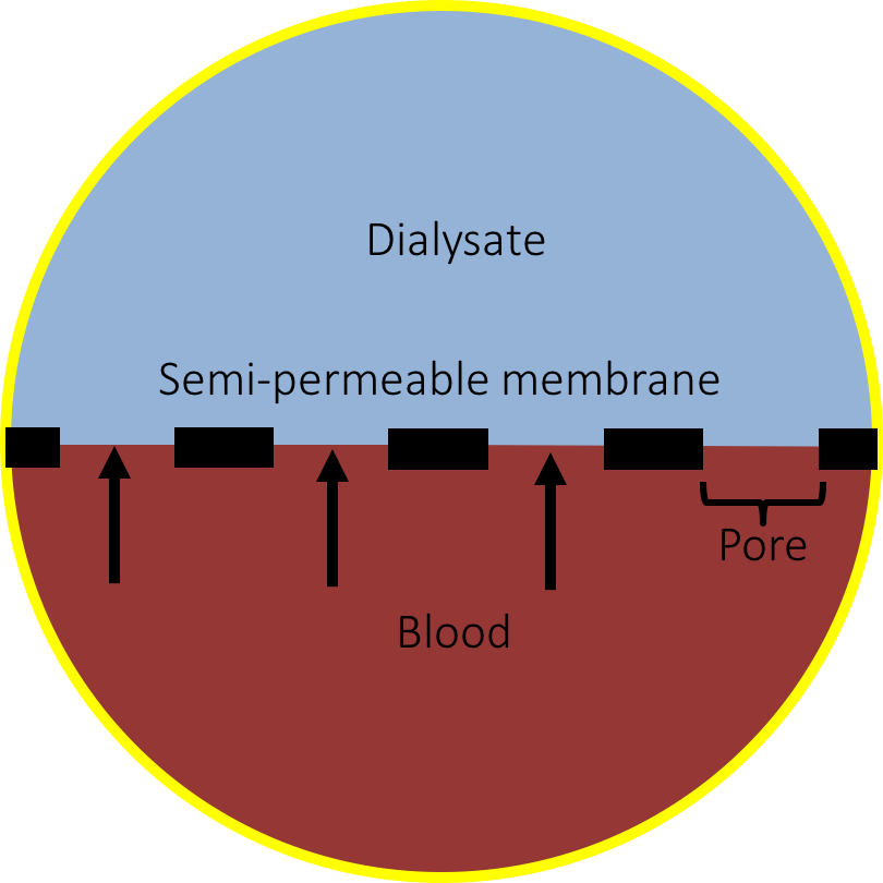 Convection - Circle (810x810)