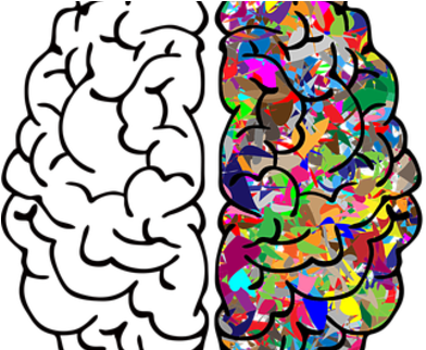 545 X 321 1 - Brain Clip Art Black And White (545x321)