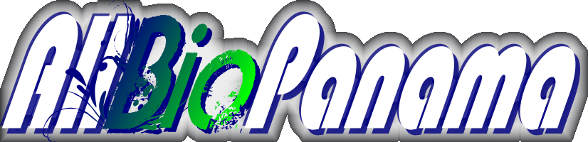 All Bio Panama Logo - All Bio Panama Logo (826x200)