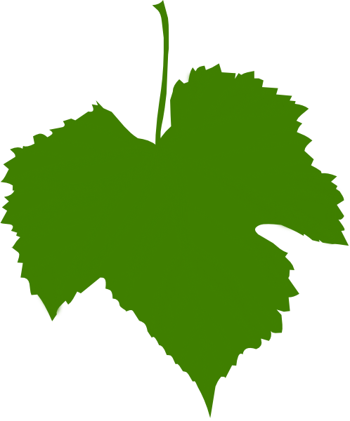 Grapes Leaves (498x600)