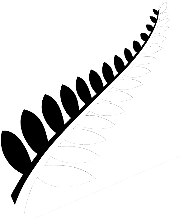 Practicepte, Study In New Zealand, About New Zealand, - New Zealand Leaf Transparent (600x721)