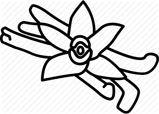 Herbs Spices Outlines By Jisun Park Baking - Vanilla Icon Outline (512x368)