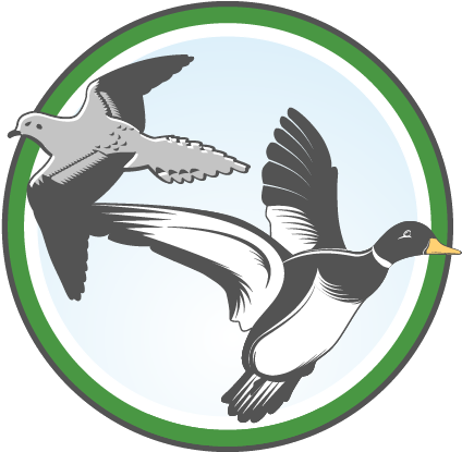 Click Here To Obtain Your No Cost Hip Permit - Duck (451x450)