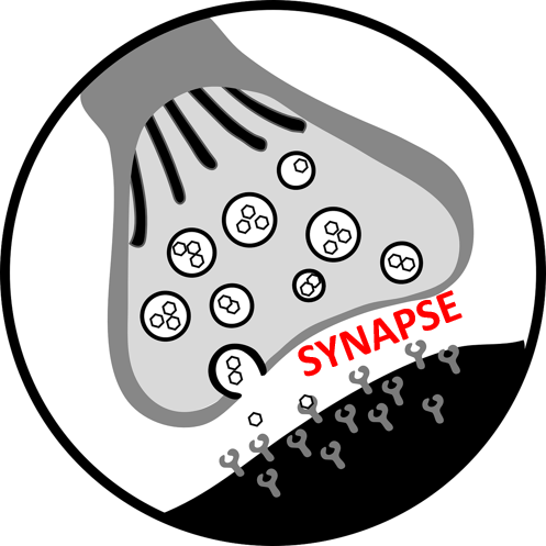 Science Shows Complaining Rewires The Brain To Be Negative - Synapse Clipart (497x497)