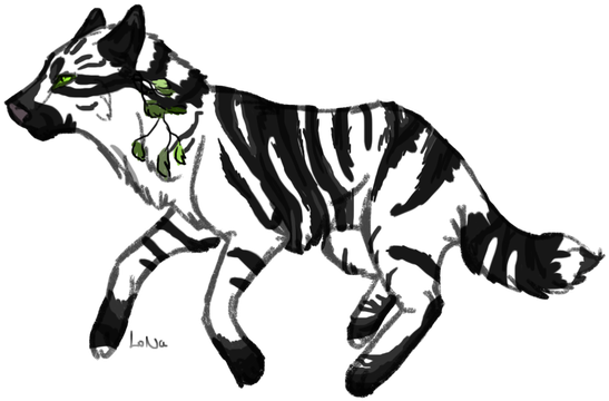 Coyote Drawing Mountain - Illustration (569x380)