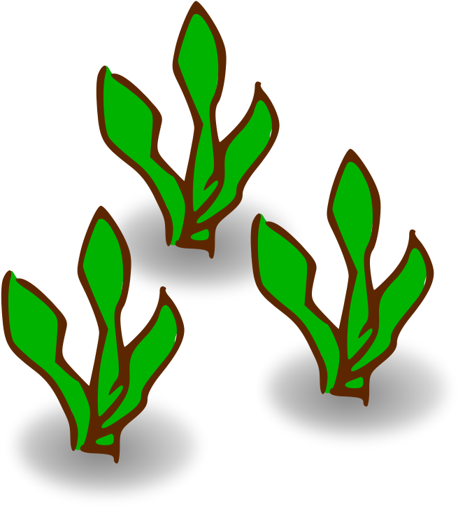 Kelp Forest Heavy - Kelp Png (800x800)