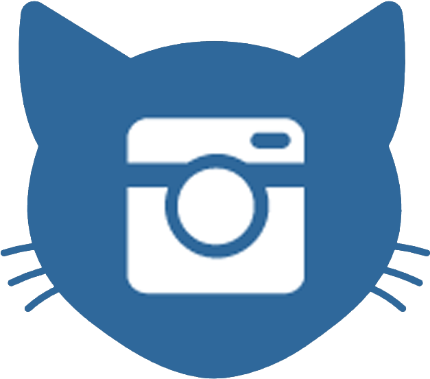 Youtube Follow Us Instagram - Icon Vector Cat Face (626x626)