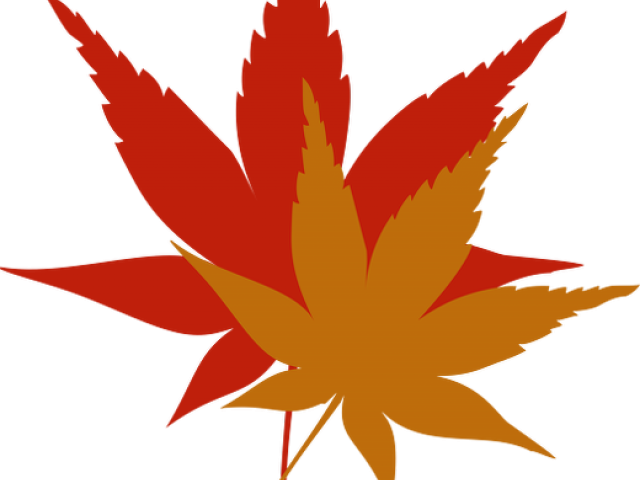 Leaves Clipart Colored - Japan Autumn Leaves Clipart (640x480)
