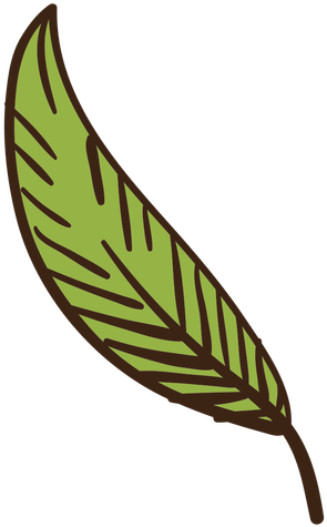 512 X 512 6 - 512 X 512 6 (512x512)