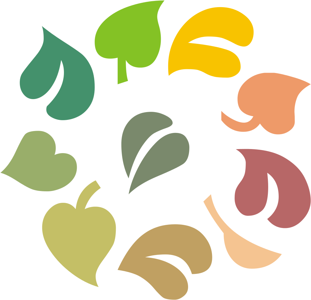 Leaves Ring Ornament Colored - Different Colored Leaves Png (1024x1024)