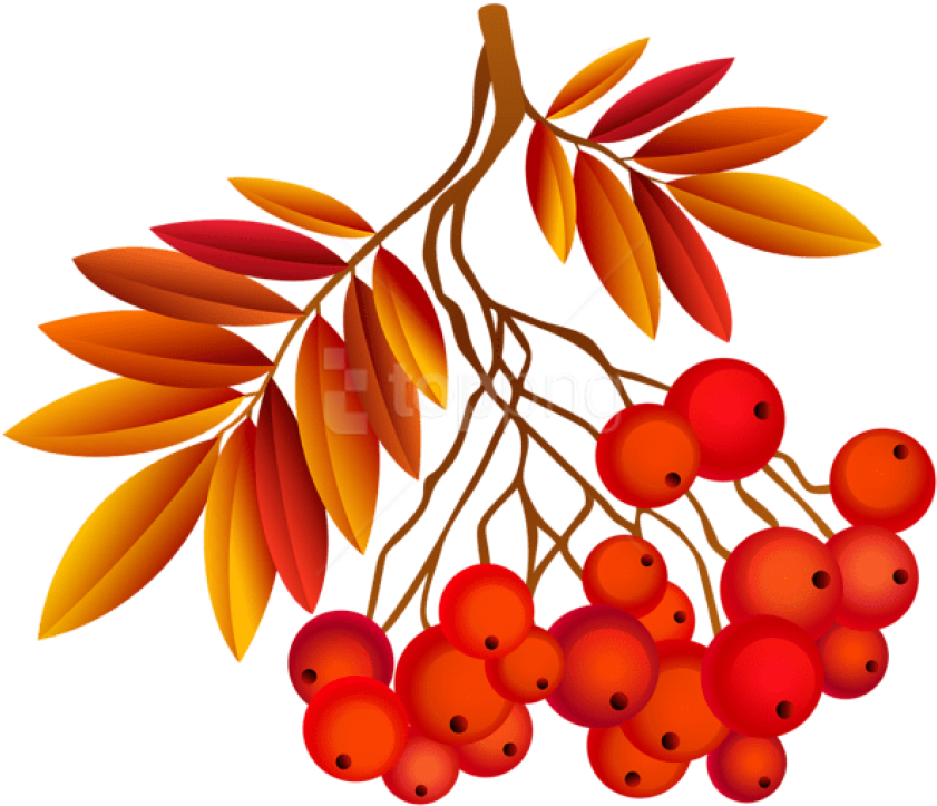 Free Png Download Autumn Leaf Deco Plant Clipart Png - Autumn Leaf Animation (850x729)