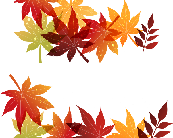 Autumn Leaves Clipart Different Leave - Clip Art (640x480)