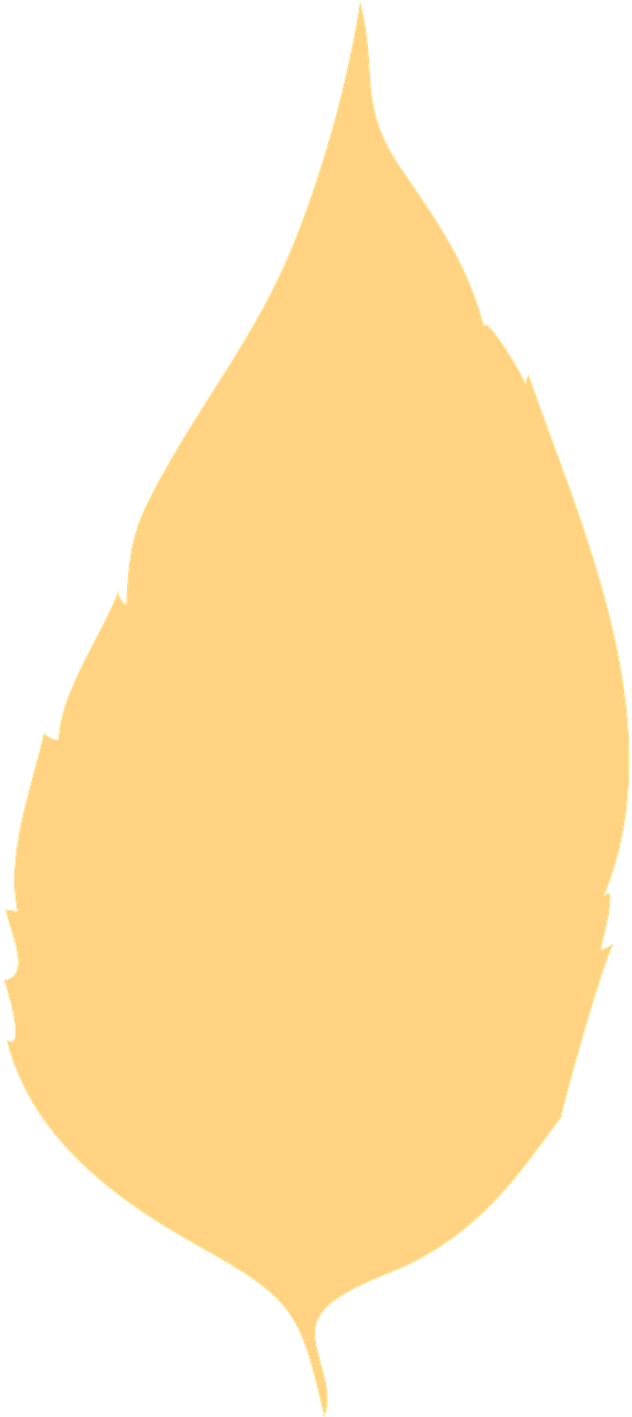 Leaf Autumn Leaf Dry Leaf - Leaf Autumn Leaf Dry Leaf (640x1280)