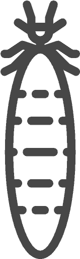 Podcast - Termite (512x512)