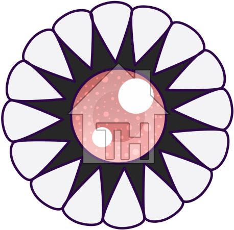 Details - Ubc Ams Logo (500x500)