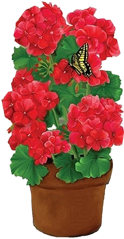 Window Sill, Country Farm, Geraniums, Art Techniques, - Bougainvillea (256x503)