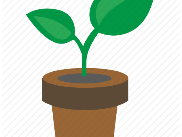 Potted Plants Clipart Short Tree - Illustration (640x480)