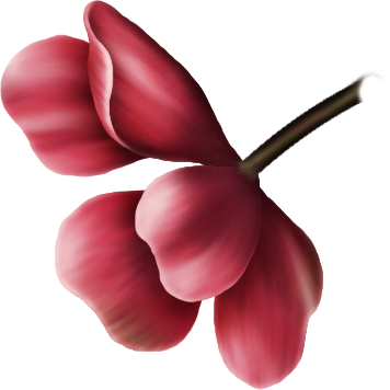 Painted Geraniums - Artificial Flower (356x356)