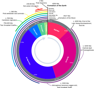 400 X 384 4 - Human To Earth Scale (400x384)