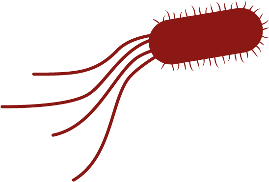 Microbiology - Marine Invertebrates (637x580)