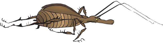 Antenna, Bug, Wings, Insect, Fast - Insect With Antenna (680x340)