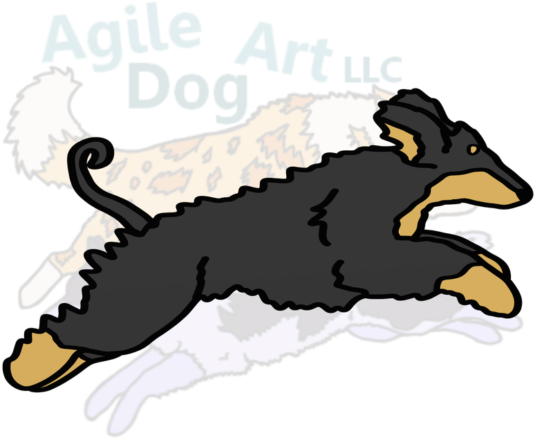 Afghan Hound - Illustration (800x800)