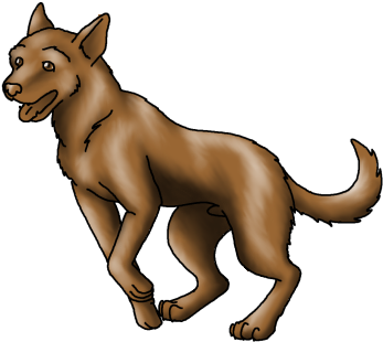 Australian Cattle Dog - Wolfdog (378x337)