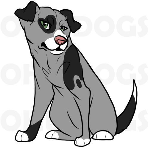 Adopted Dog - Cartoon (500x500)