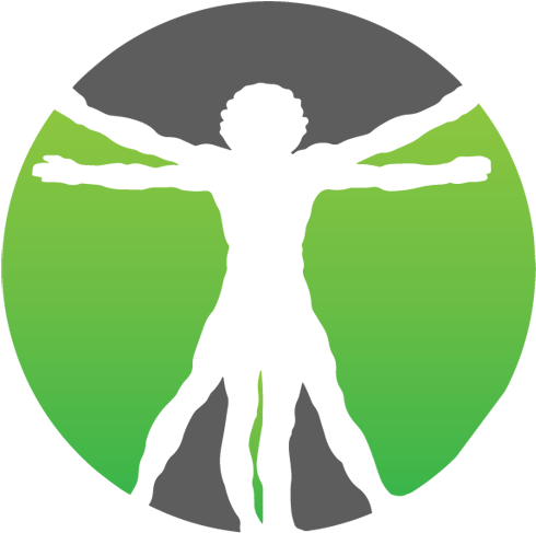 Vitruvian Man - (500x495) Png Clipart Download