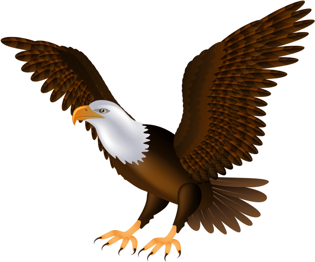 Eagle Clip Art 1454 Clipart Of - Bald Eagle Clipart Png (1024x851)