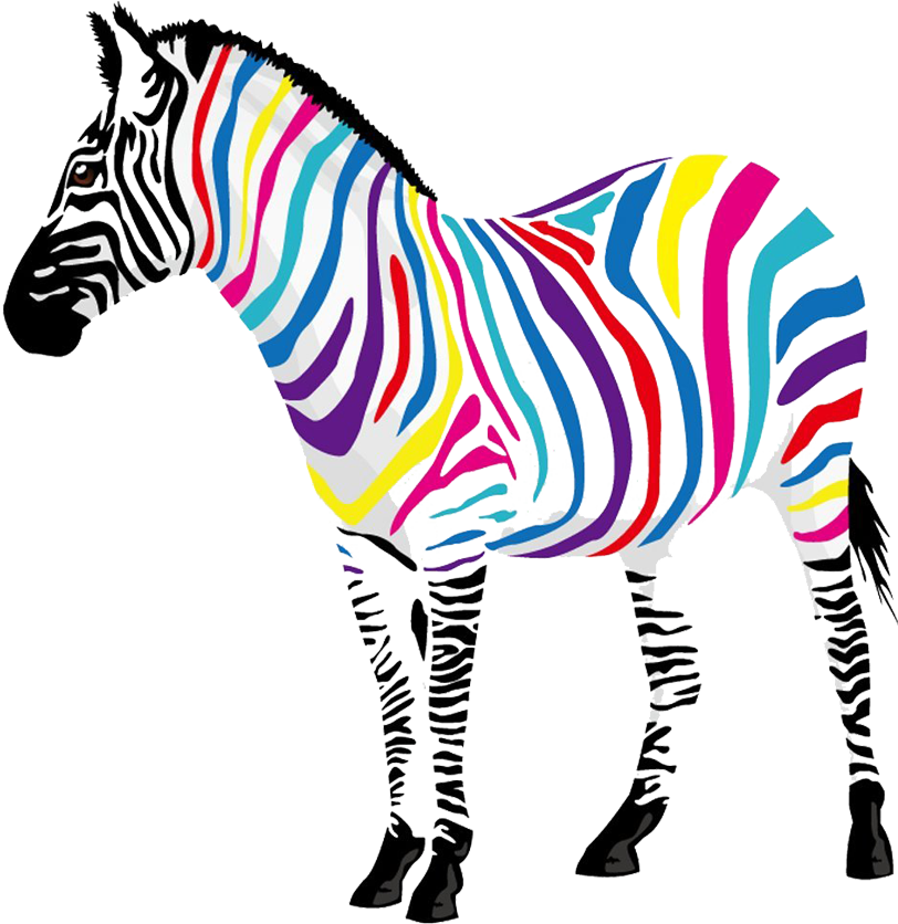Zebra Colors (812x836)