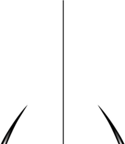 Web Clipart Spooky Spider - Web Clipart Spooky Spider (640x480)