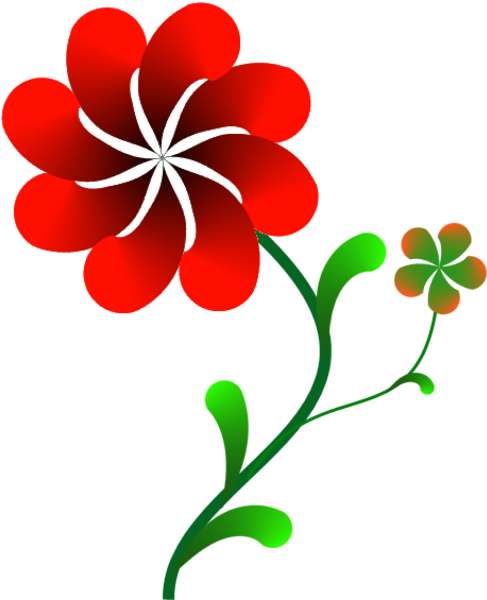 Plant Image - Hawaiian Hibiscus (494x600)