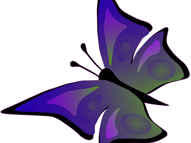 Morning Glory Clipart Realistic - Butterfly Images Drawing With Colour (640x480)