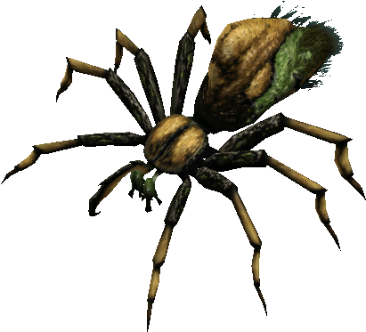 Bu-91 - European Garden Spider (435x390)