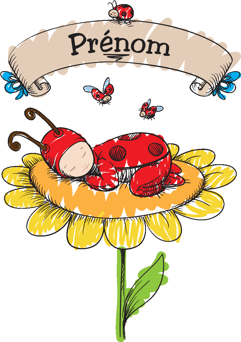 Sticker Prenom Personnalisable Bebe Coccinelle Ambiance - Illustration (1200x1200)