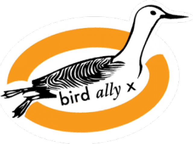 Green Heron Clipart Transparent - Duck (640x480)