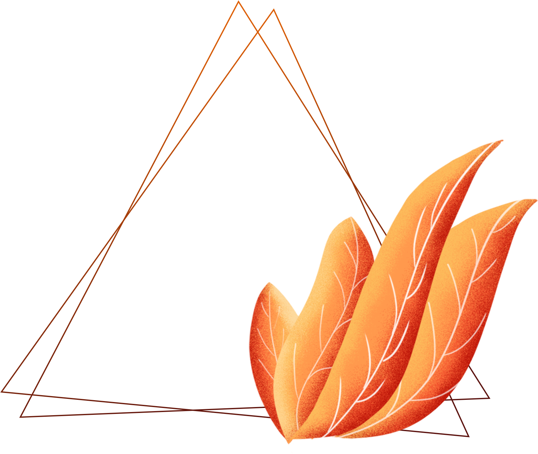 Hand Drawn Plants Borders Coral Orange Leaves Png And - Plants (2000x2000)